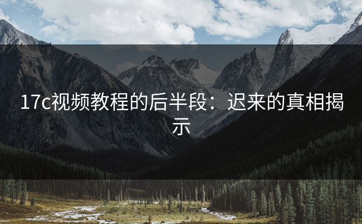 <strong>17C</strong>视频教程的后半段：迟来的真相揭示