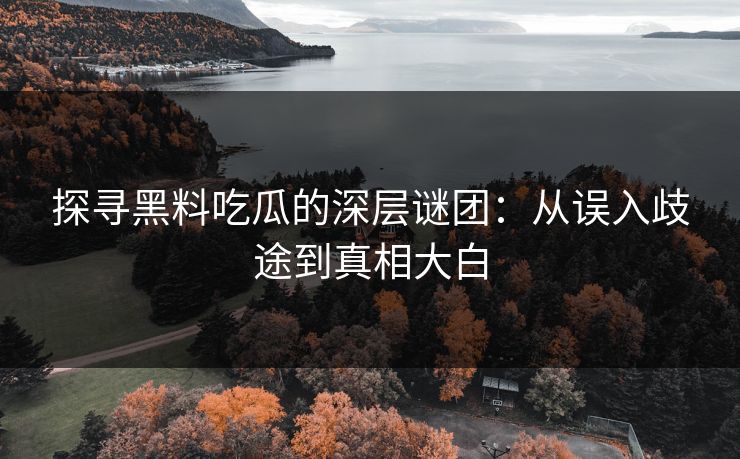 探寻黑料吃瓜的深层谜团：从误入歧途到真相大白