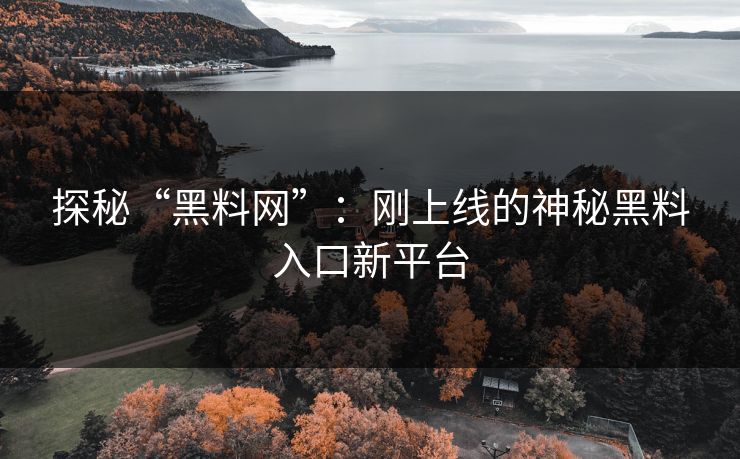 探秘“黑料网”：刚上线的神秘黑料入口新平台