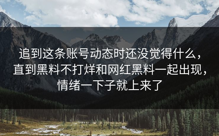 追到这条账号动态时还没觉得什么，直到黑料不打烊和网红黑料一起出现，情绪一下子就上来了