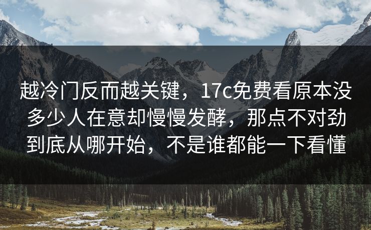 越冷门反而越关键，<strong>17C</strong>免费看原本没多少人在意却慢慢发酵，那点不对劲到底从哪开始，不是谁都能一下看懂